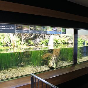 Aquatic Life Building