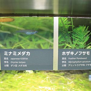 signage example in Aquatic Life Building