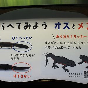signage example in Aquatic Life Building