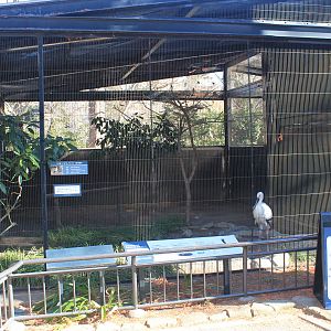 Aviary for Oriental White Stork