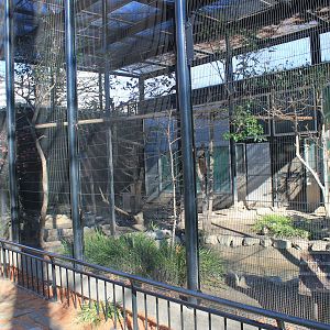 Aviary for Mandarin Ducks