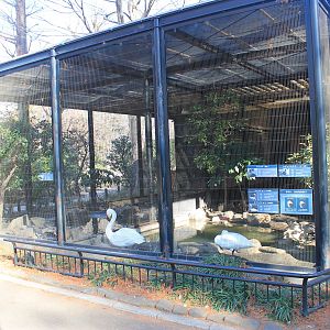 Aviary for swans and geese
