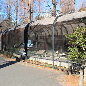 Waterbird aviaries