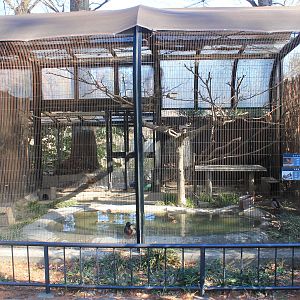 Aviary for Mallard and Japanese Night Heron