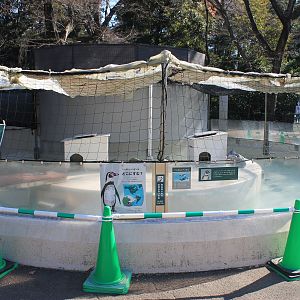Humboldt Penguin enclosure