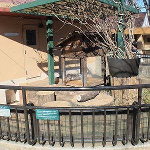 Ctrested Porcupine enclosure
