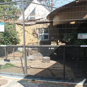 Enclosure for Japanese Hare (Lepus brachyurus)