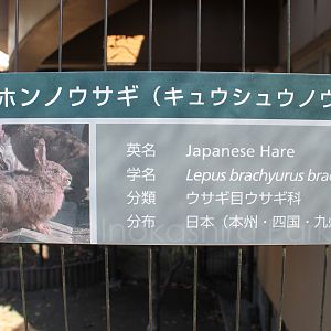 Signage for Japanese Hare
