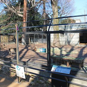 Enclosure for Yakushima Sika Deer