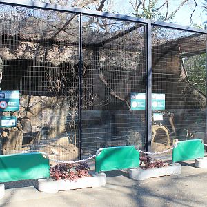 Japanese Red Fox cages