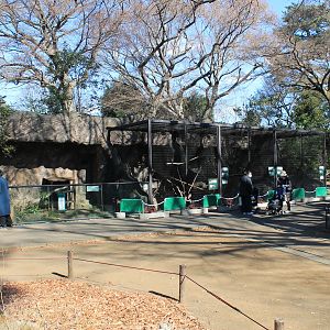 Fox and Giant Flying Squirrel cages