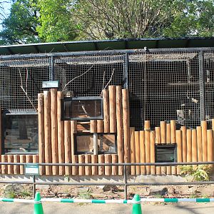 Enclosures for Tsushima Leopard Cats