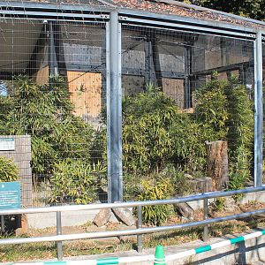 Enclosures for Tsushima Leopard Cats