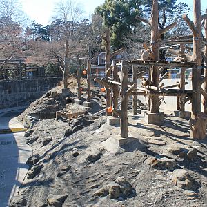 Enclosure for Rhesus Macaques