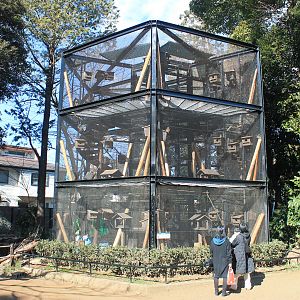 tower cage for Japanese Squirrels