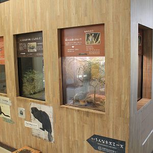 native mouse enclosures