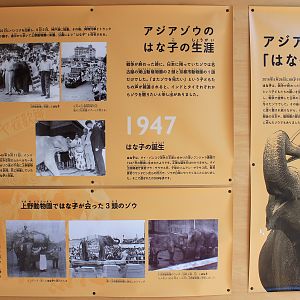 Historic elephant house timeline signage