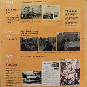 Historic elephant house timeline signage