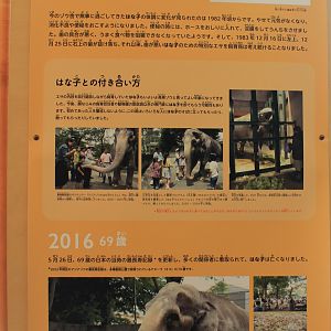 Historic elephant house timeline signage