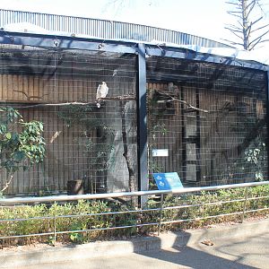 Bird of prey aviaries