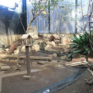 Mixed aviary