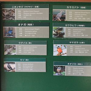 Mixed aviary signage