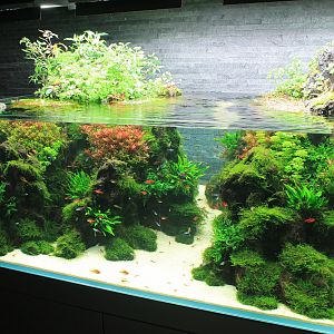 Amano aquascaped aquarium