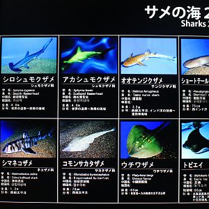 signage example (this is for a single tank)