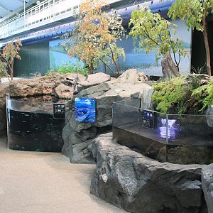 River tanks