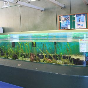 River tank