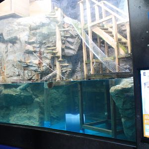 North American River Otter enclosure