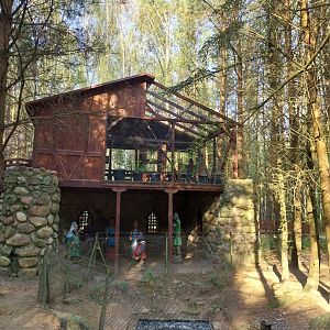 Charlotta Zoo - Pygmy Marmoset (Cebuella pygmaea)
