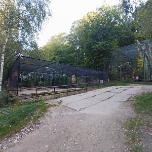 Charlotta Zoo - Birds of prey aviary