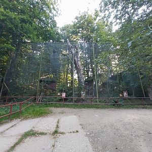 Charlotta Zoo - Birds of prey aviaries