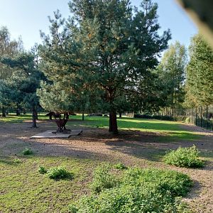 Charlotta Zoo - Kafue Lehwe (Kobus leche kafuensis) enclosure