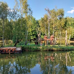 Charlotta Zoo - Ring-tailed Lemur (Lemur catta)