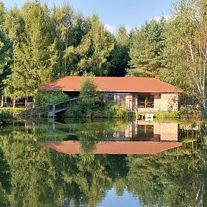 Zoo Charlotta - Red-cheeked Gibbon (Nomascus gabriellae)