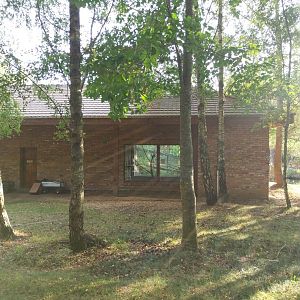 Zoo Charlotta - Red-cheeked Gibbon (Nomascus gabriellae)
