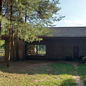 Zoo Charlotta - Red-cheeked Gibbon (Nomascus gabriellae)