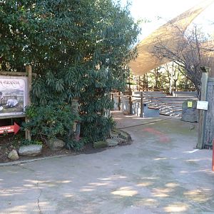 Entrance to the farm area -Faunia (2025)