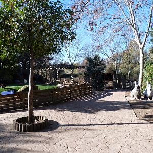 Farm area view -Faunia (2025)