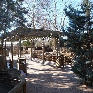 Farm area view -Faunia (2025)