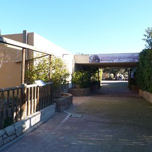 Komodo dragon house -Faunia (2025)