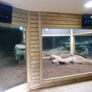 Komodo dragon indoors exhibit -Faunia (2025)