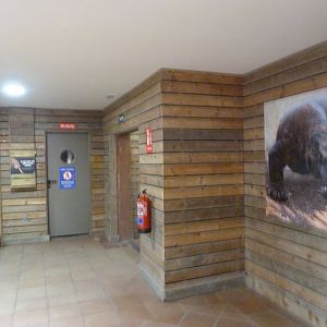 Komodo dragon house view -Faunia (2025)