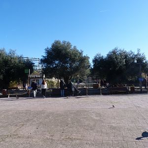 Main plaza view -Faunia (2025)