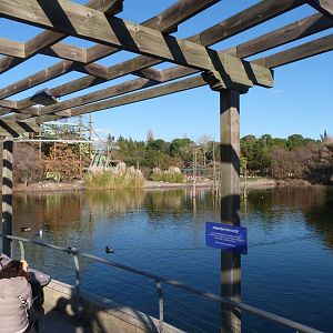 Main lake -Faunia (2025)