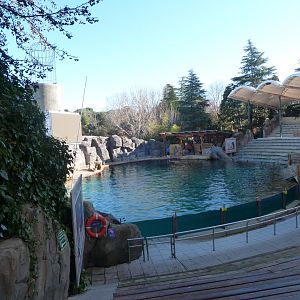 "Teatro Lago" view -Faunia (2025)