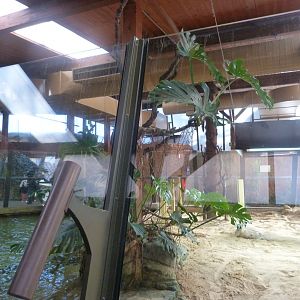 Nile crocodile exhibit -Faunia (2025)