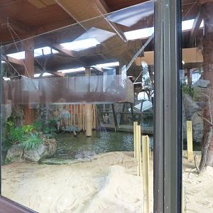 Nile crocodile exhibit -Faunia (2025)
